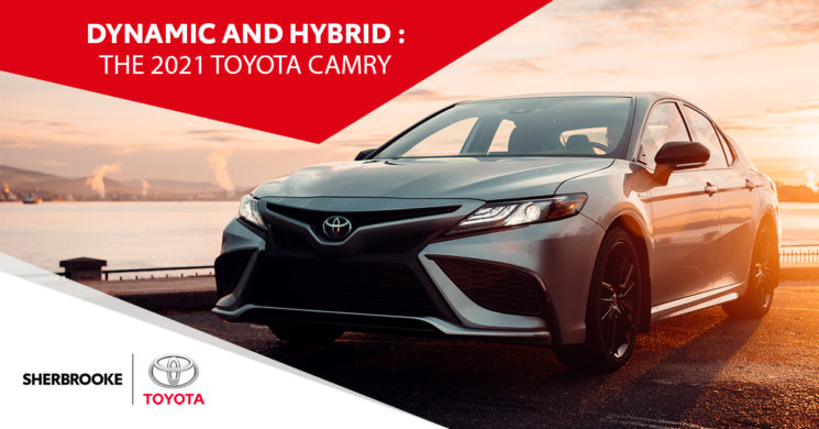 SHER TOY CAMRY B EN 745x390 1