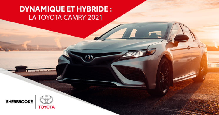 SHER TOY CAMRY B FR 745x390 1