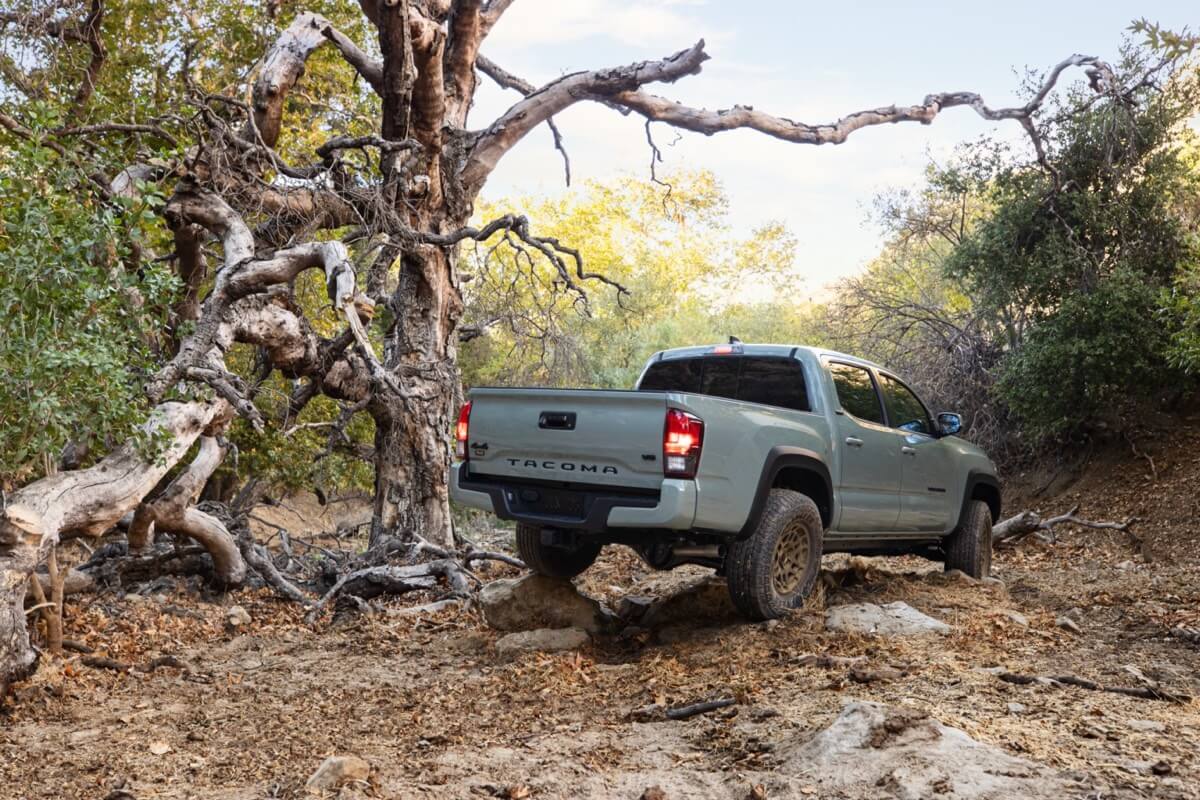 Vue 3/4 arrière du Toyota Tacoma Édition Trail 2022 de couleur Roche Lunaire avec ses phares de route automatiques garé en forêt