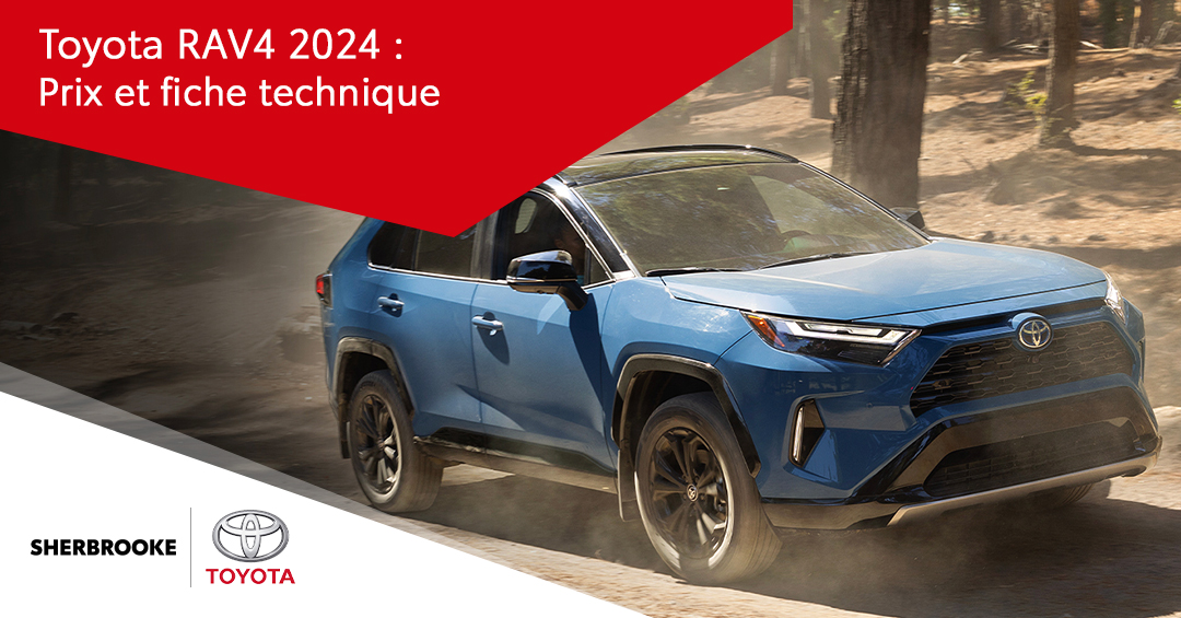 P12 B3 1 RAV4